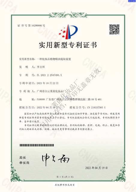 GEBRAUCHSMUSTER PATENT