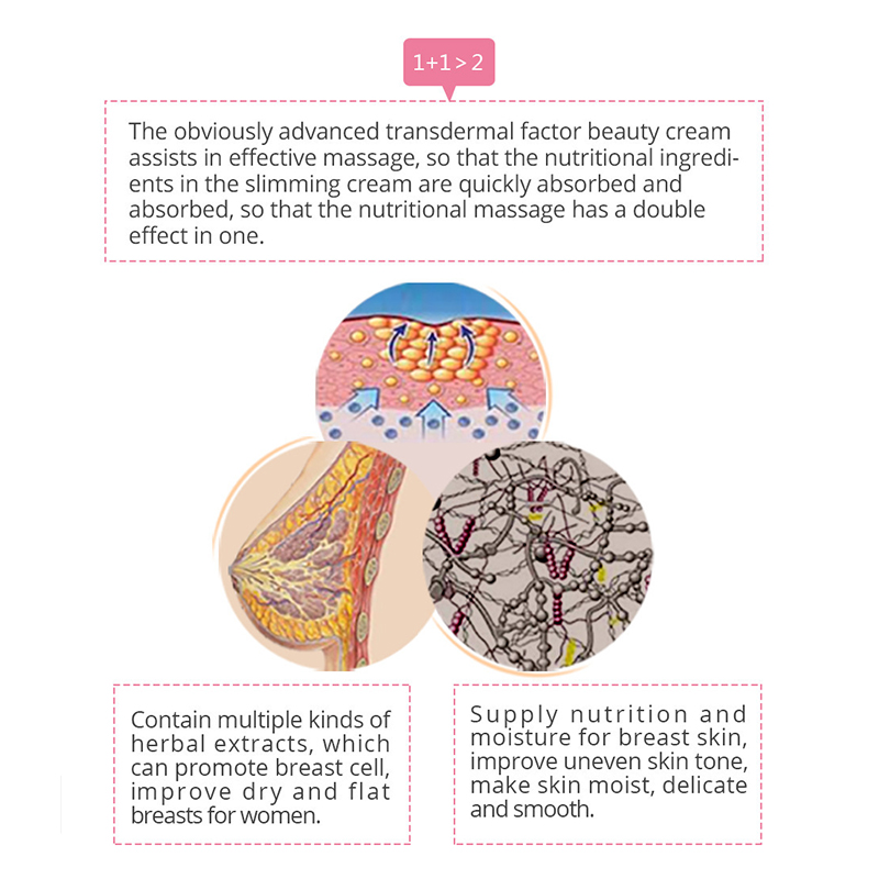 Private Label Gro&szlig;handel f&uuml;r Brustvergr&ouml;&szlig;erungscreme (5) 