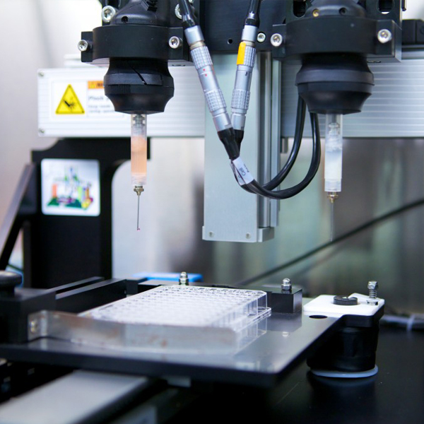 Stabilit&auml;tstest