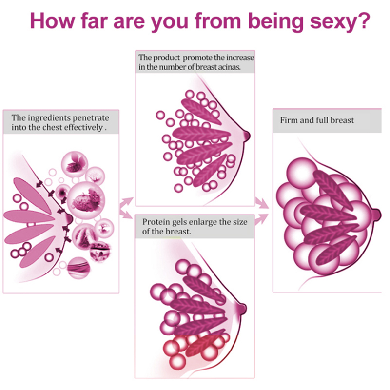 Private Label Gro&szlig;handel f&uuml;r Brustvergr&ouml;&szlig;erungscreme (6) 