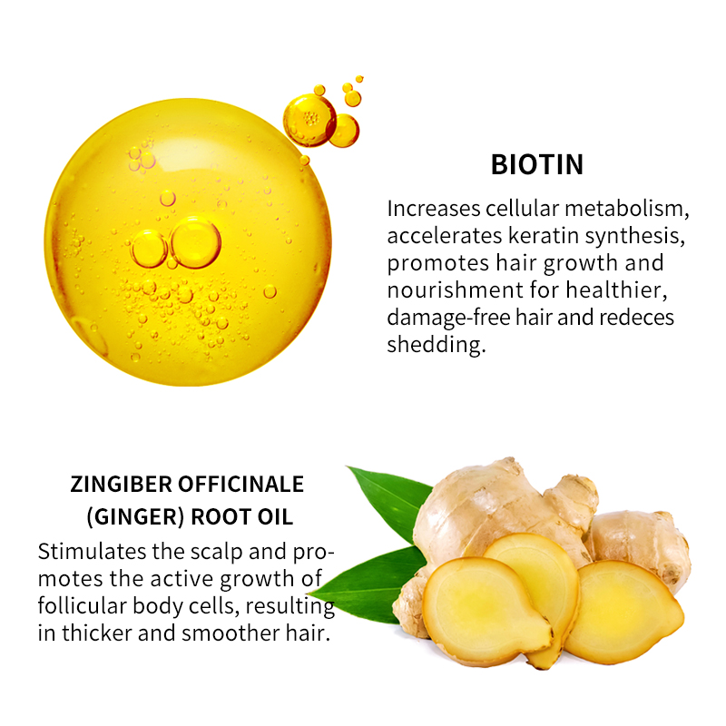 Pflanzliches Haarwachstumsserum mit Biotin und Ingwer